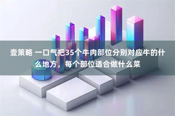 壹策略 一口气把35个牛肉部位分别对应牛的什么地方，每个部位适合做什么菜